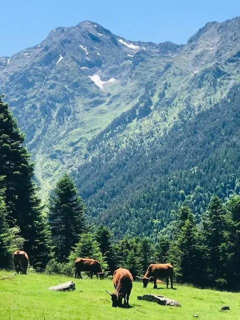 Hotel Neste De Jade Saint-Lary-Soulan